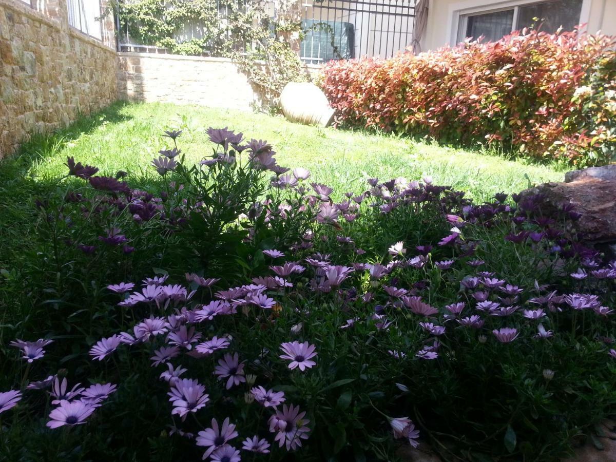 K&k Elegant Near Airport Apartment Spata (East Attica)